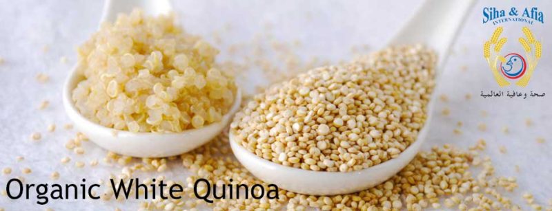 organic quinoa - White